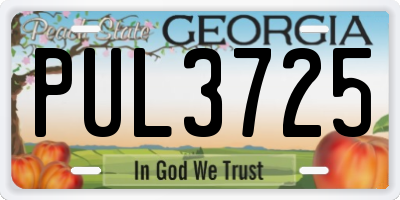GA license plate PUL3725