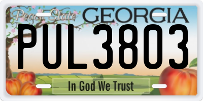 GA license plate PUL3803