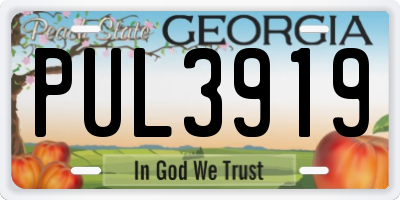 GA license plate PUL3919