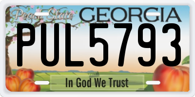 GA license plate PUL5793