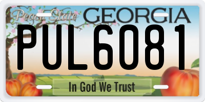 GA license plate PUL6081