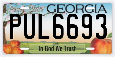 GA license plate PUL6693