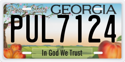 GA license plate PUL7124