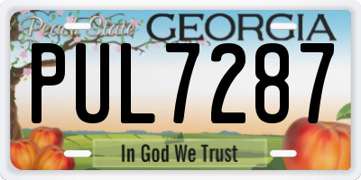 GA license plate PUL7287