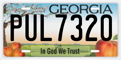 GA license plate PUL7320