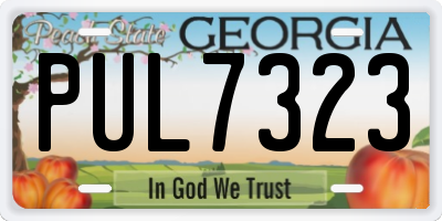 GA license plate PUL7323