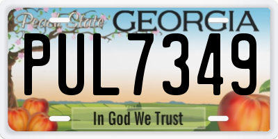 GA license plate PUL7349