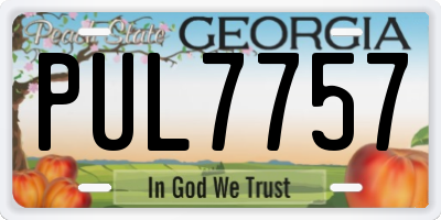 GA license plate PUL7757