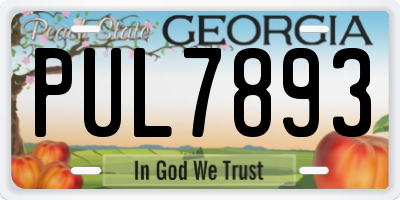 GA license plate PUL7893