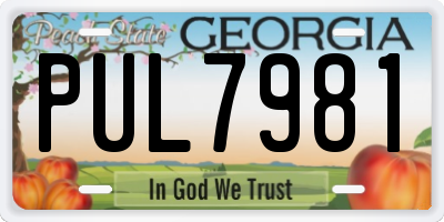 GA license plate PUL7981