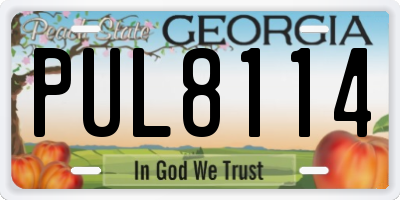 GA license plate PUL8114
