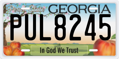 GA license plate PUL8245