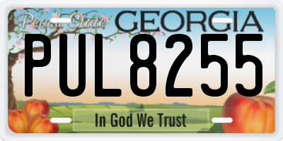 GA license plate PUL8255