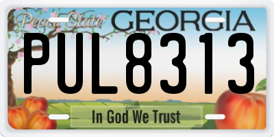 GA license plate PUL8313