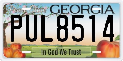 GA license plate PUL8514