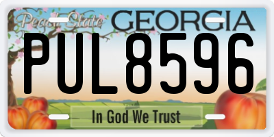 GA license plate PUL8596