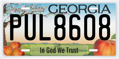 GA license plate PUL8608