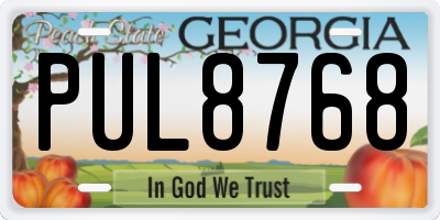 GA license plate PUL8768