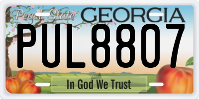GA license plate PUL8807