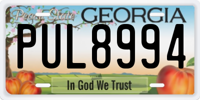 GA license plate PUL8994