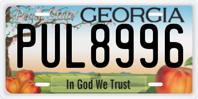 GA license plate PUL8996