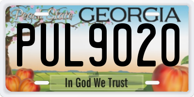 GA license plate PUL9020
