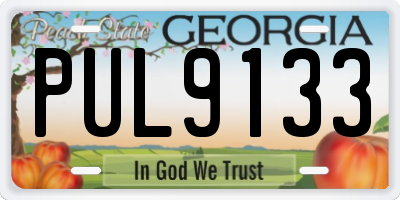 GA license plate PUL9133