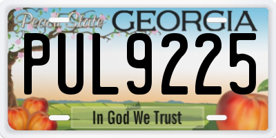 GA license plate PUL9225