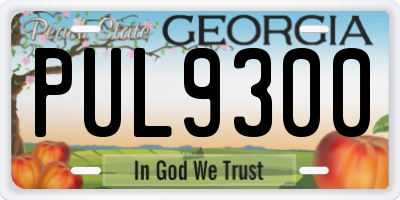 GA license plate PUL9300