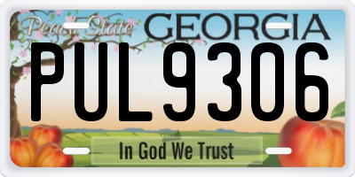GA license plate PUL9306