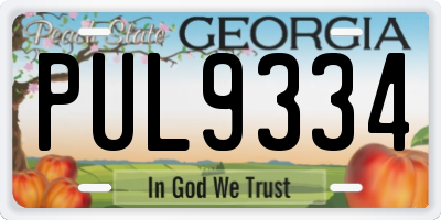 GA license plate PUL9334