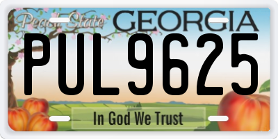 GA license plate PUL9625