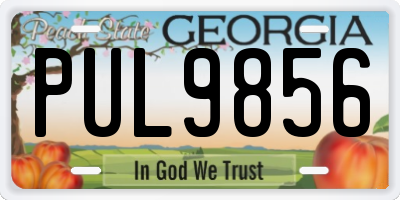 GA license plate PUL9856