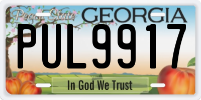 GA license plate PUL9917