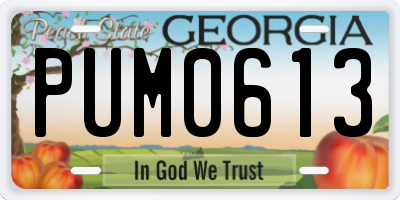 GA license plate PUM0613