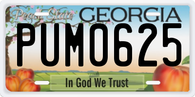 GA license plate PUM0625