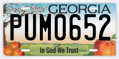 GA license plate PUM0652