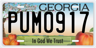 GA license plate PUM0917