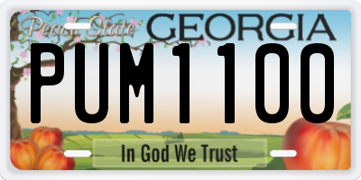 GA license plate PUM1100