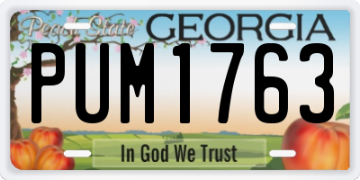 GA license plate PUM1763