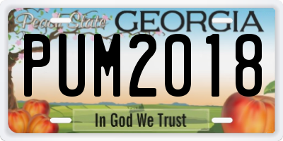 GA license plate PUM2018