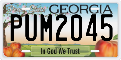 GA license plate PUM2045