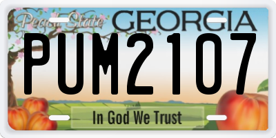 GA license plate PUM2107