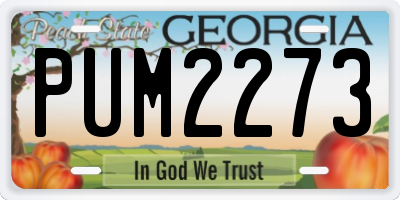 GA license plate PUM2273