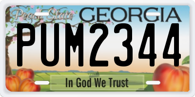 GA license plate PUM2344