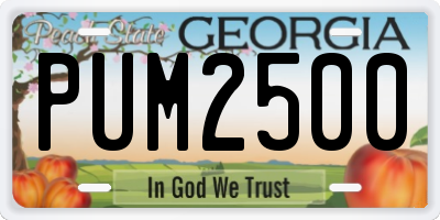 GA license plate PUM2500