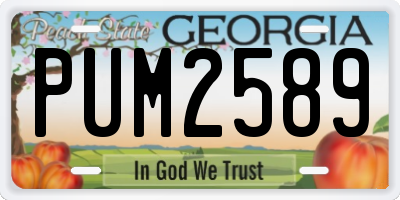 GA license plate PUM2589