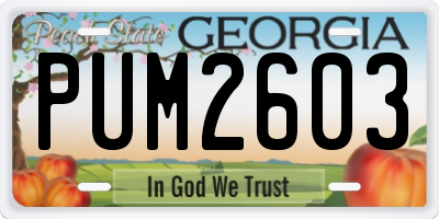 GA license plate PUM2603