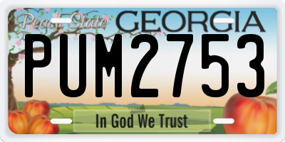 GA license plate PUM2753