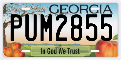 GA license plate PUM2855